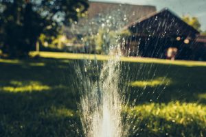 Gartenpflege - Die Baumteufel Garten- Und Landschaftsbau